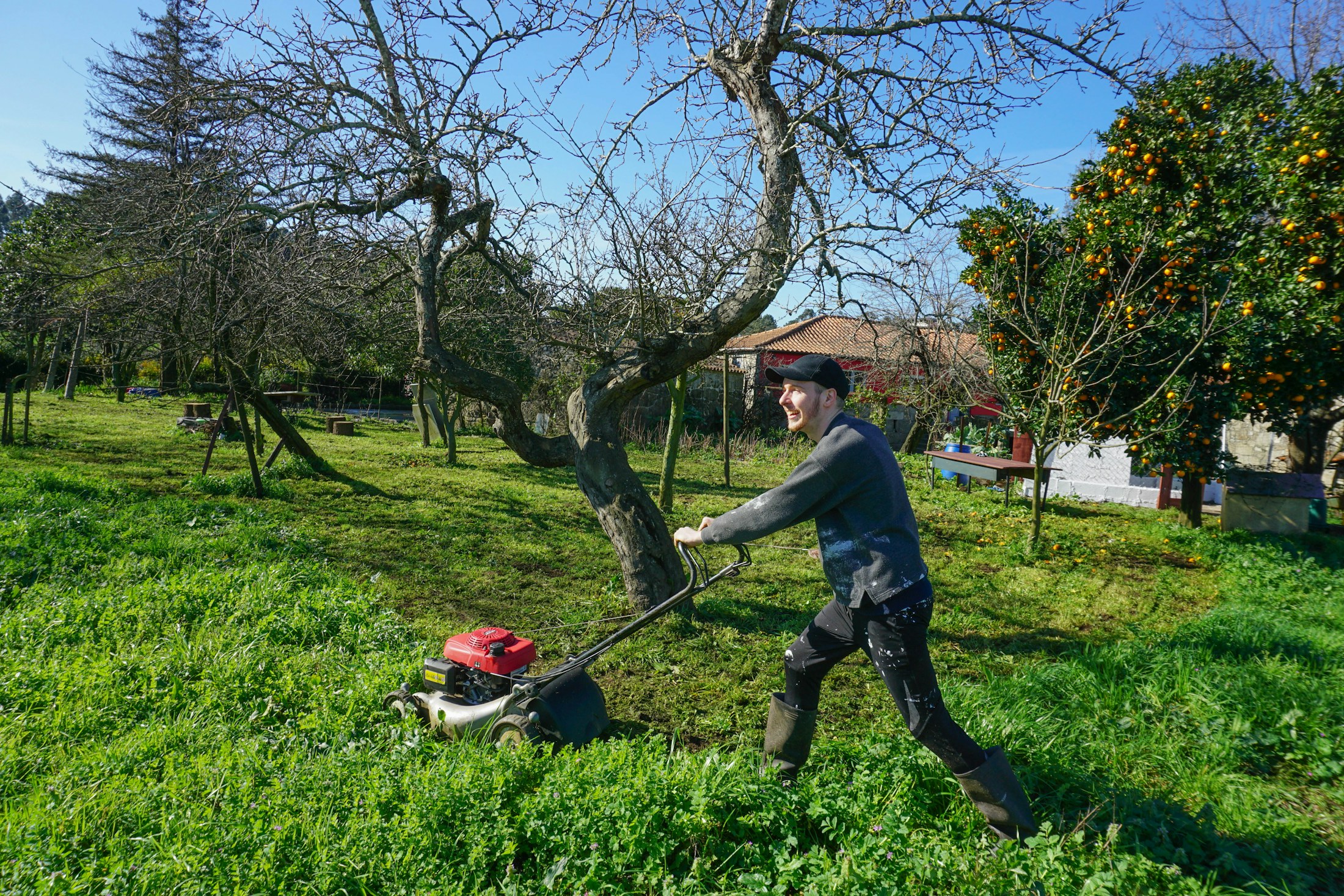 Person mowing a green lawn